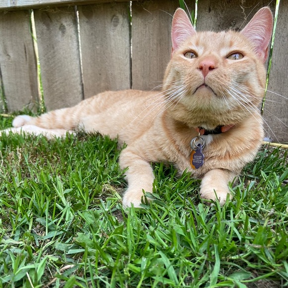 Meet the Posher! - Picture 8 of 11